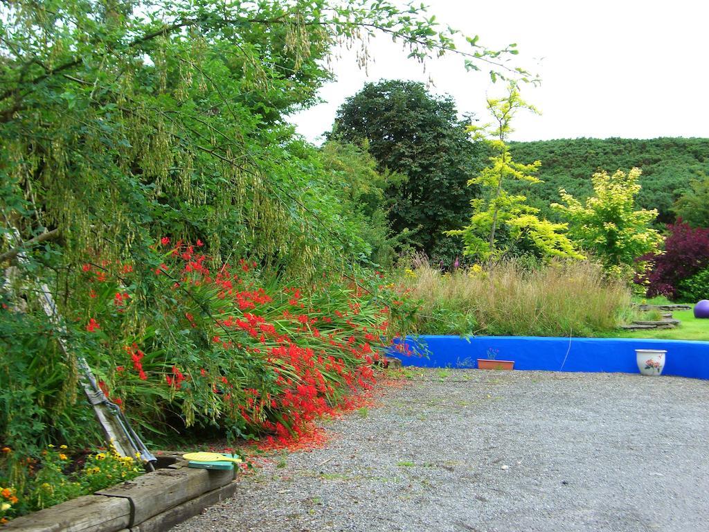 The Village Studio Apartments Moate Luaran gambar