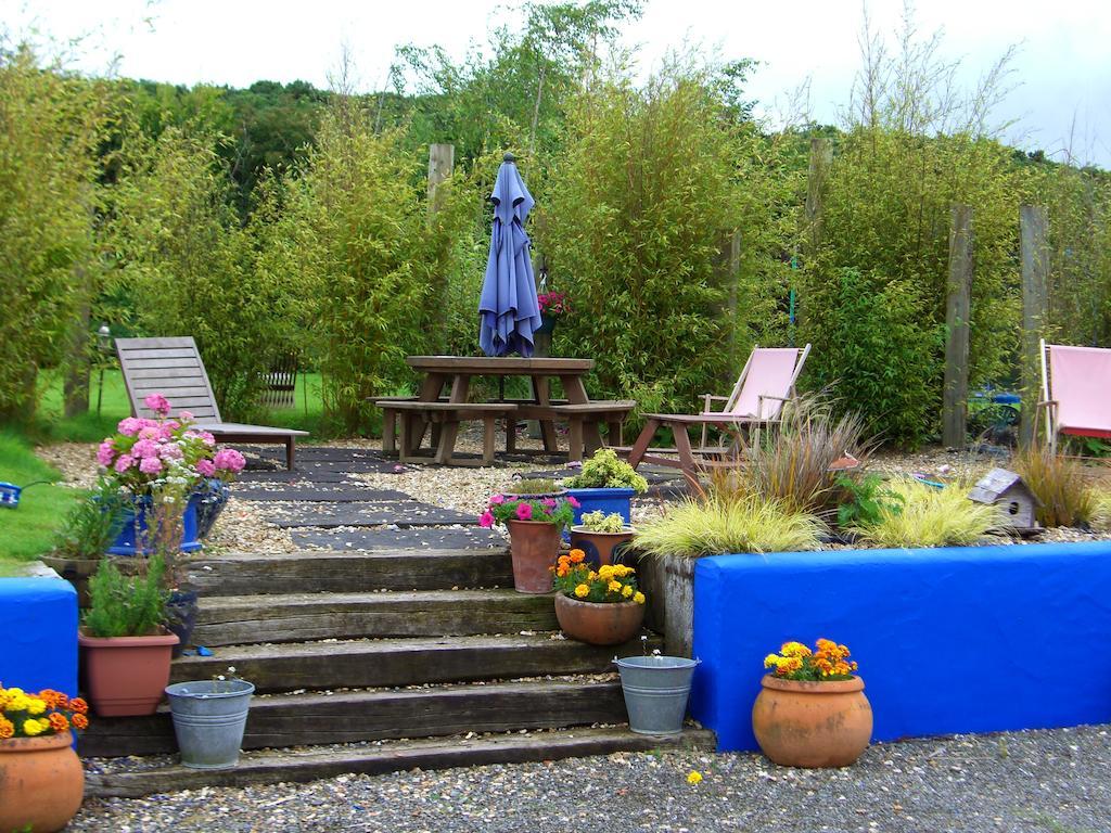 The Village Studio Apartments Moate Bilik gambar
