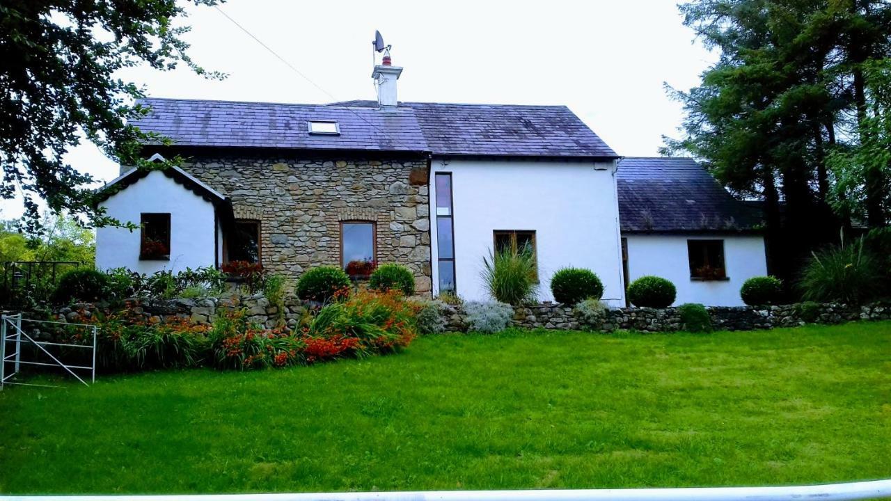 The Village Studio Apartments Moate Luaran gambar
