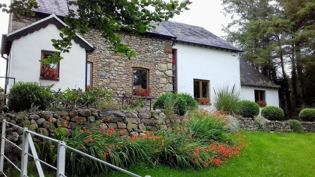 The Village Studio Apartments Moate Luaran gambar