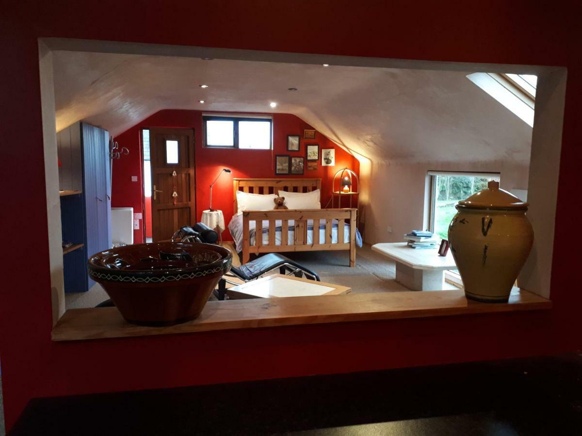 The Village Studio Apartments Moate Luaran gambar